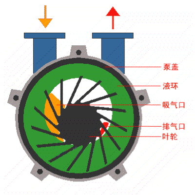 水環(huán)式真空泵動態(tài)原理圖 水環(huán)式真空泵動態(tài)原理圖